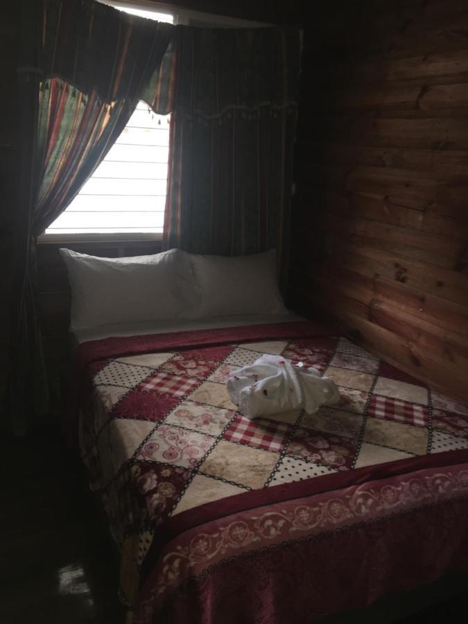 Matus Guest House Сан-Игнасио Экстерьер фото